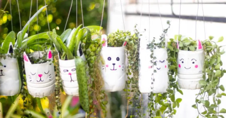 Grow Vegetables in Plastic Bottles & Recycled Containers