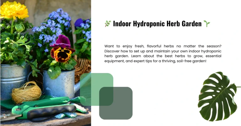 Indoor Hydroponic Herb Garden A Complete Guide to Growing Fresh Herbs Year-Round